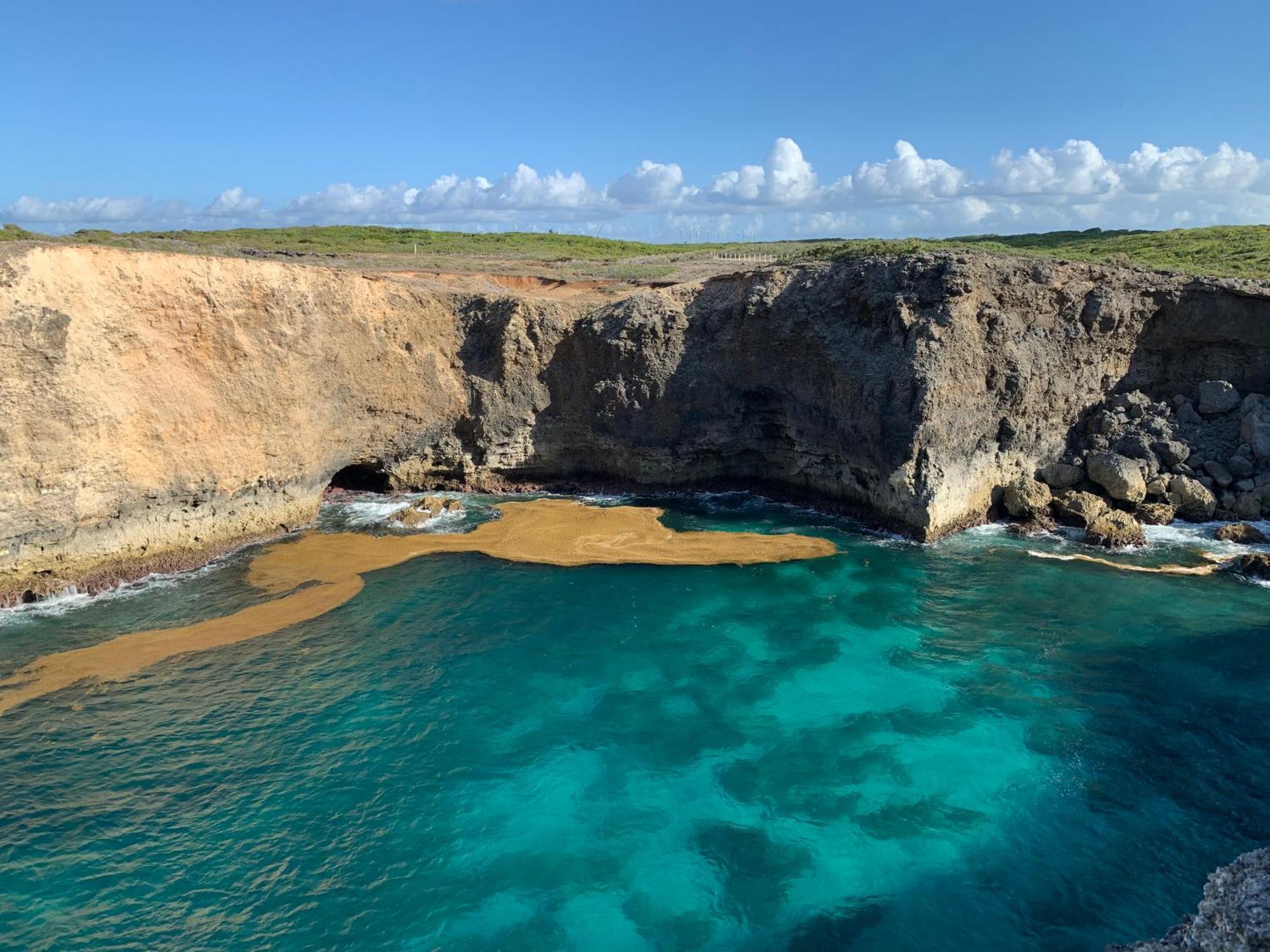 La Maison Creole Du Flamboyant - Proche Des Plages Anse-Bertrand Zewnętrze zdjęcie