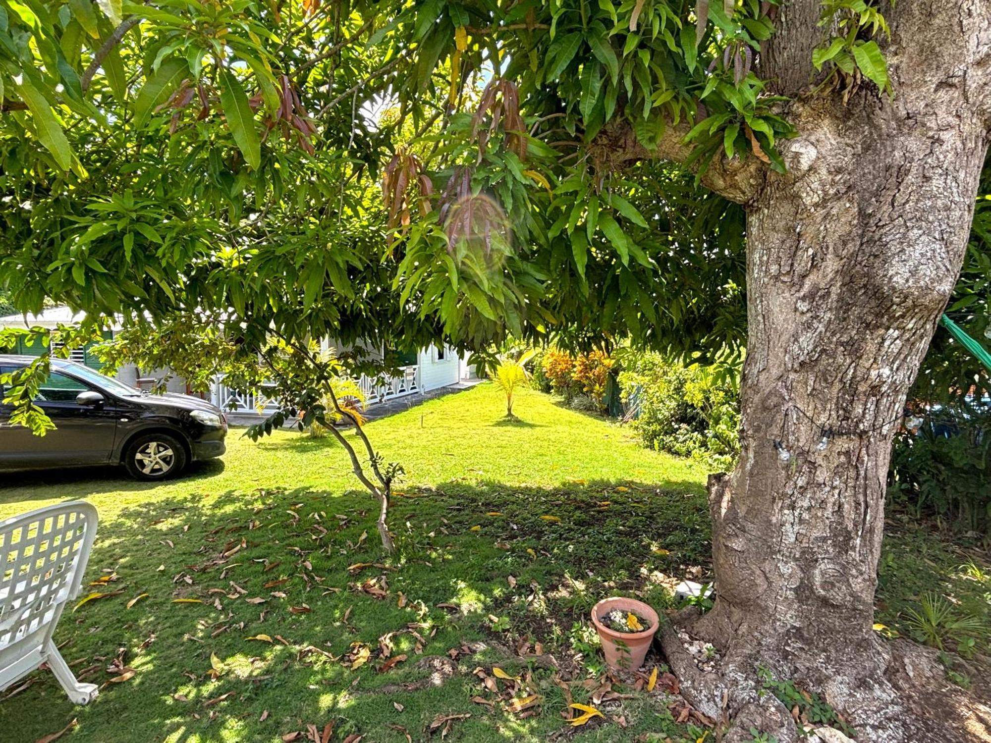 La Maison Creole Du Flamboyant - Proche Des Plages Anse-Bertrand Zewnętrze zdjęcie