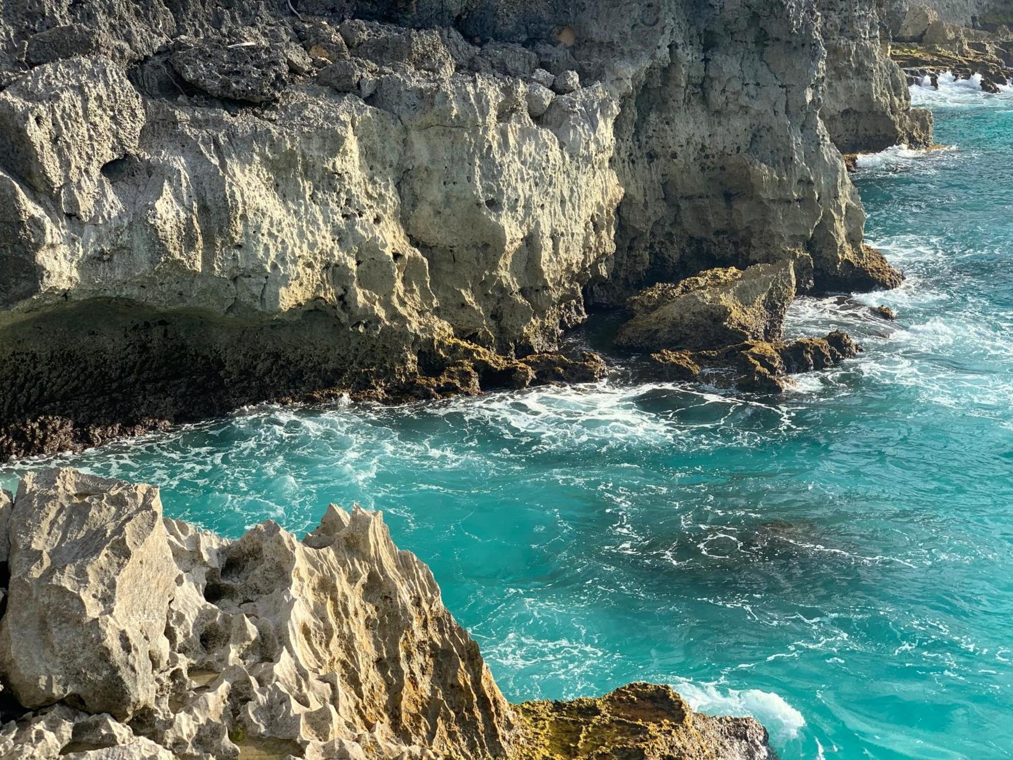 La Maison Creole Du Flamboyant - Proche Des Plages Anse-Bertrand Zewnętrze zdjęcie